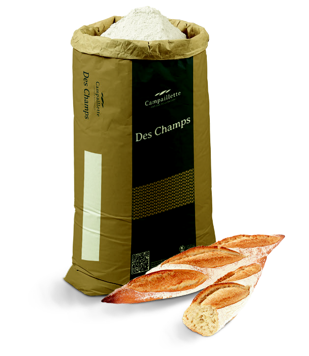 FARINE CAMPAILLETTE GMP T65