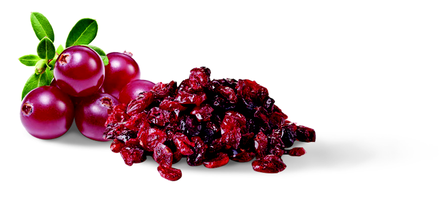 CRAMBERRIES